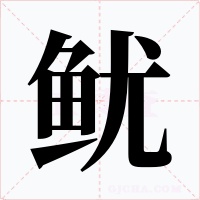 鱿