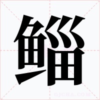 鲻