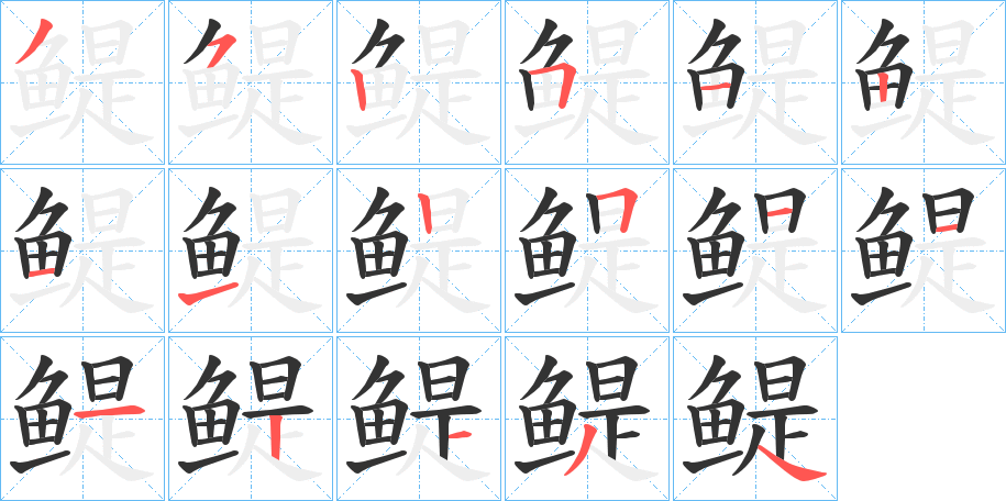 鳀的笔顺写法
