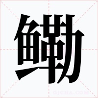 鳓