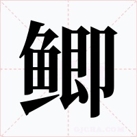 鲫