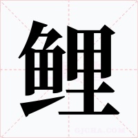 鲤