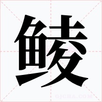 鲮