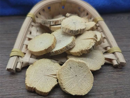 木通