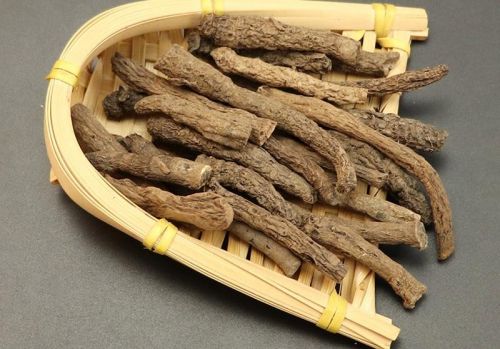 仙茅