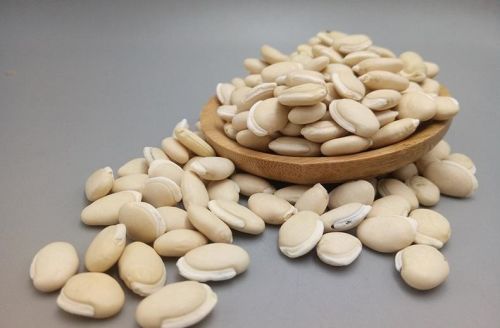白扁豆