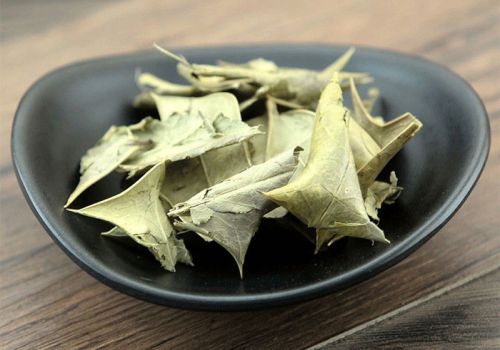 枸骨叶