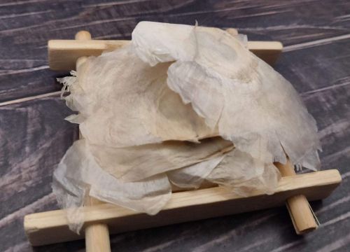 木蝴蝶