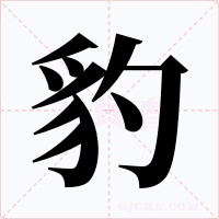 豹