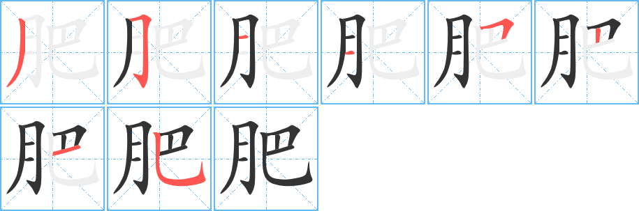 肥的笔顺写法