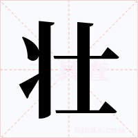 壮