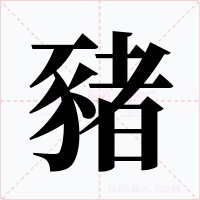 豬