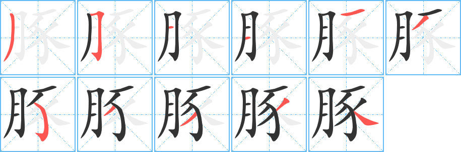 豚的笔顺写法