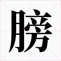 膀