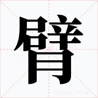 臂