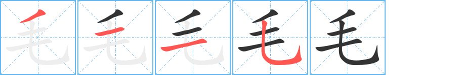 毛的笔顺写法