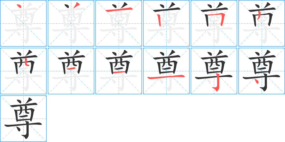 尊的笔顺写法