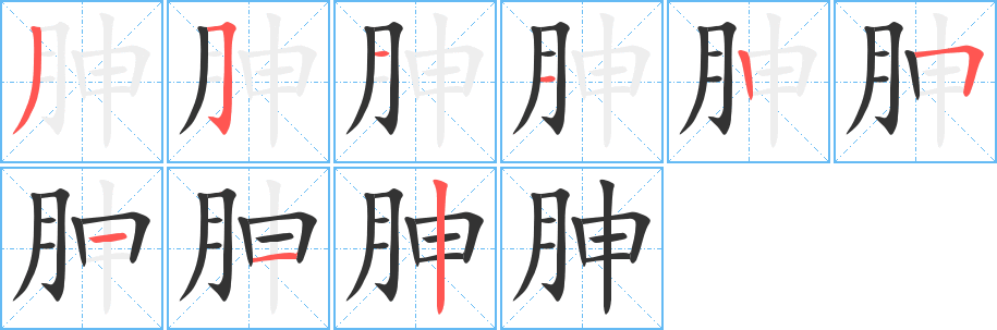 胂的笔顺写法