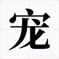 宠