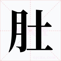 肚