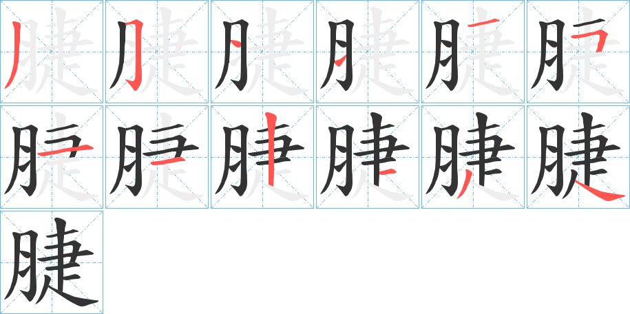 脻的笔顺写法