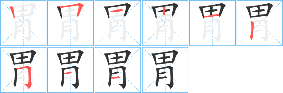 胃的笔顺写法
