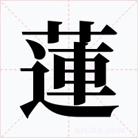 蓮