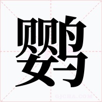 鹦
