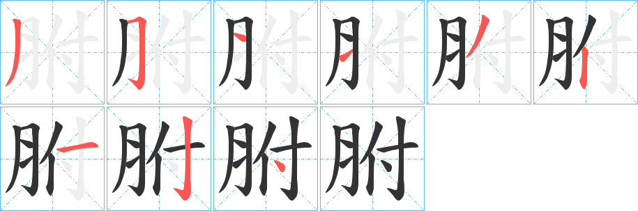 胕的笔顺写法