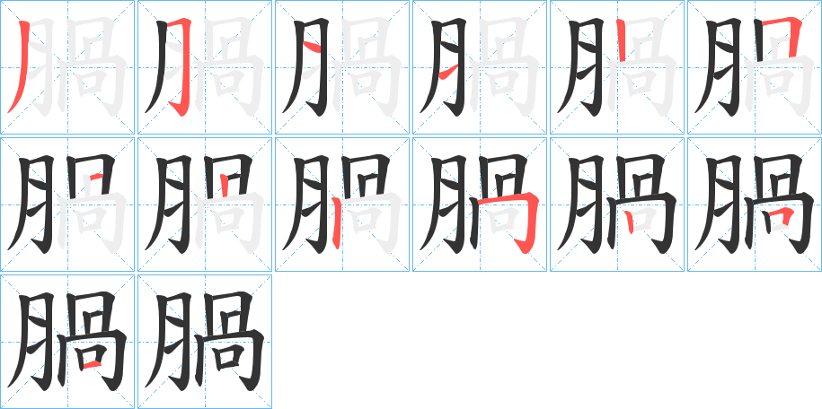腡的笔顺写法