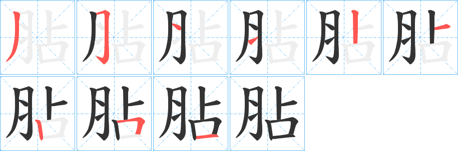 胋的笔顺写法