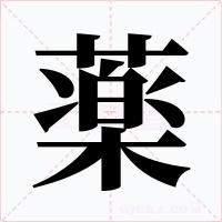 薬