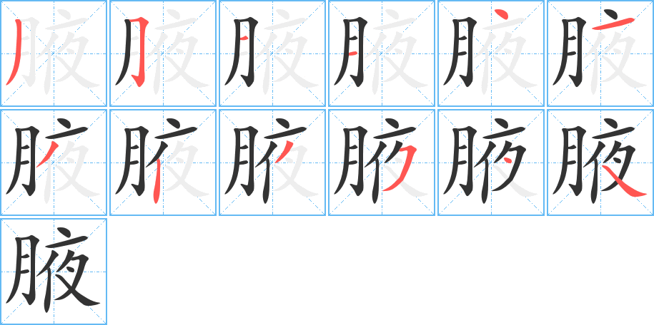 腋的笔顺写法