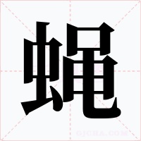 蝇