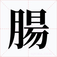腸