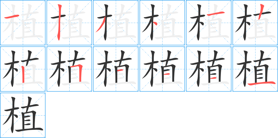 植的笔顺写法