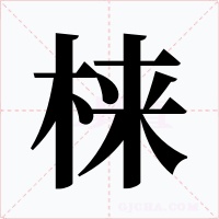 梾