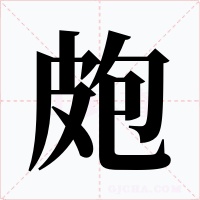 皰