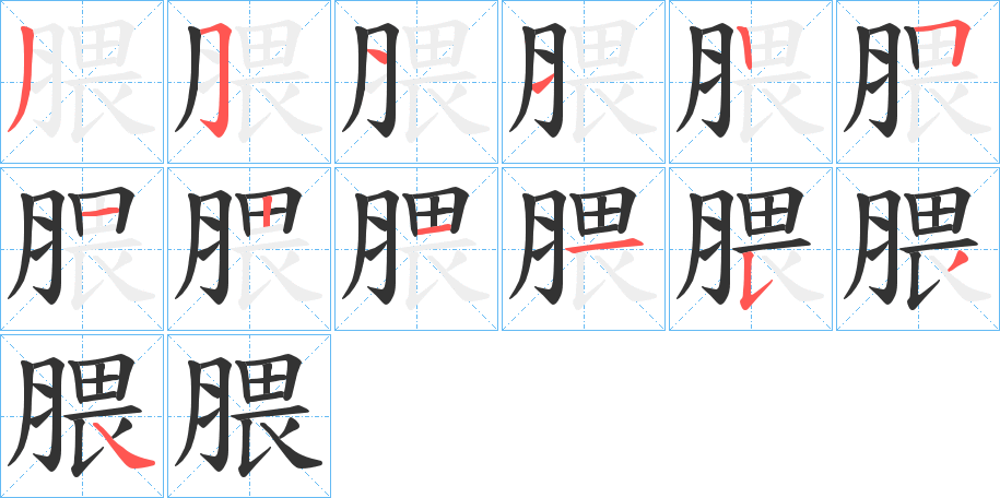 腲的笔顺写法