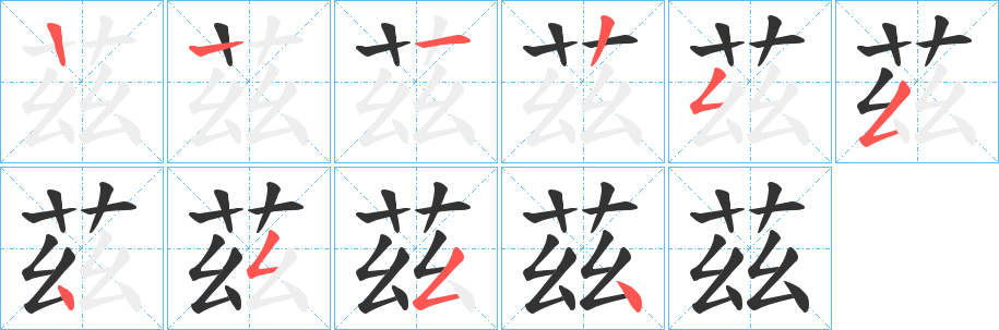 茲的笔顺写法