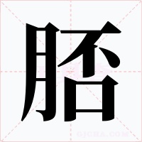 脴