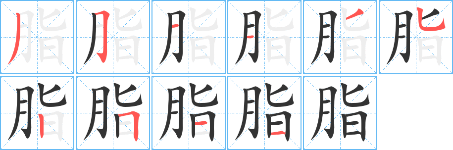 脂的笔顺写法
