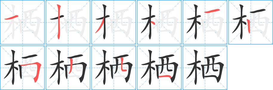 栖的笔顺写法