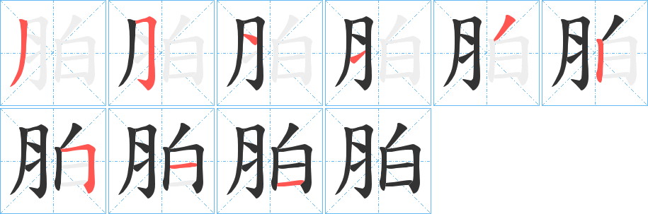 胉的笔顺写法