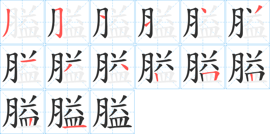 膉的笔顺写法