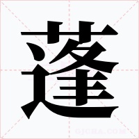 蓬