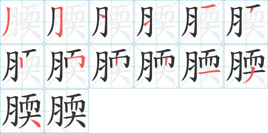 腝的笔顺写法