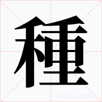 種