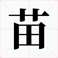 苗