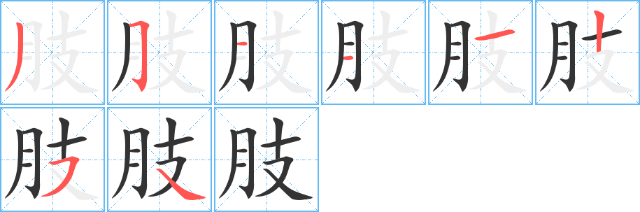 肢的笔顺写法